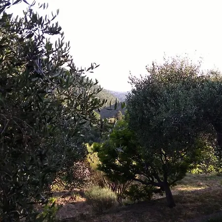 La Porta Del Sole Nell'oliveto Lejlighed Seborga