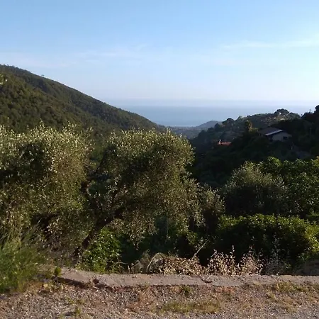 Διαμέρισμα La Porta Del Sole Nell'oliveto