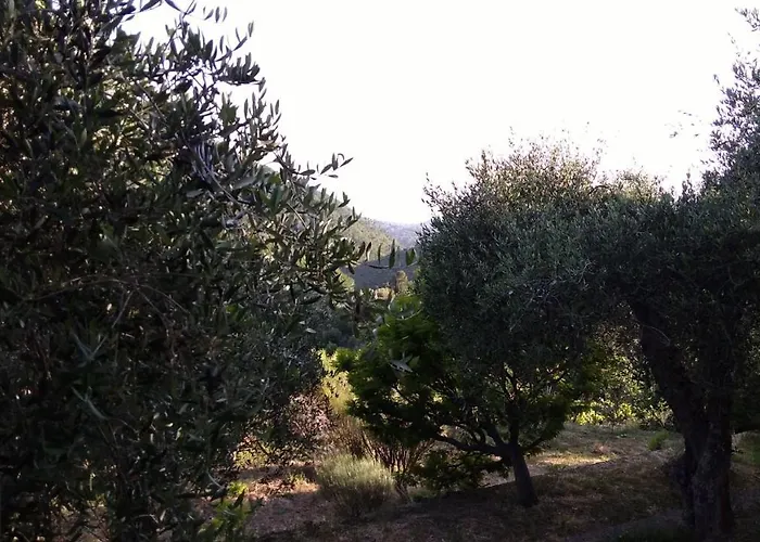 La Porta Del Sole Nell'oliveto Apartamento Seborga